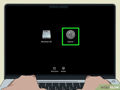 2026 Password Reset guide: How to Recover Accounts After Apple Intelligence & Biometric Auth Changes
