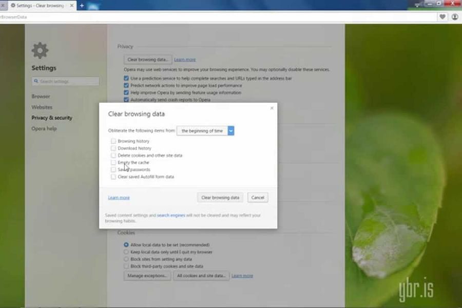 Opera browser clear cache and cookies tutorial