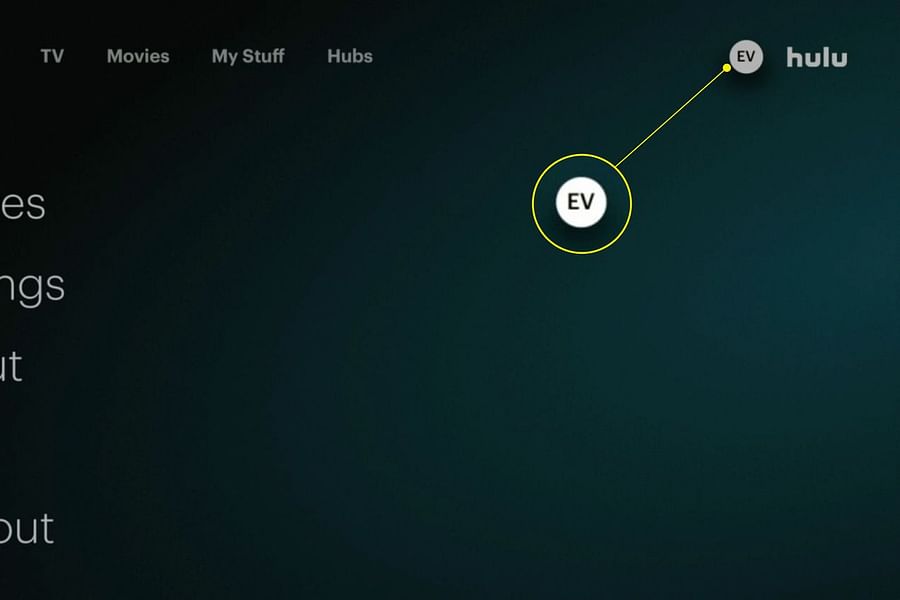 Hulu switch profiles