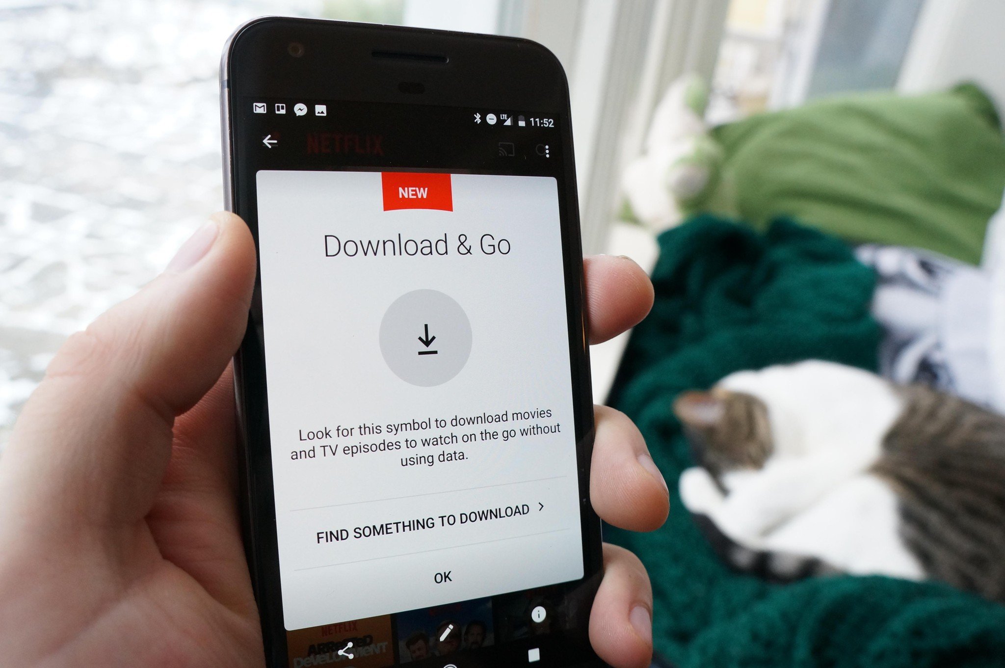 Netflix offline viewing