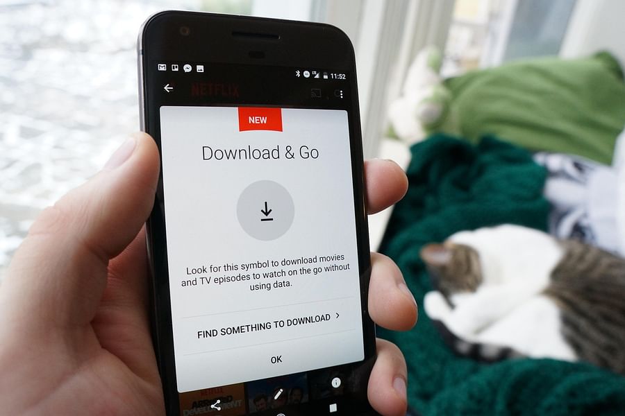 Netflix offline viewing