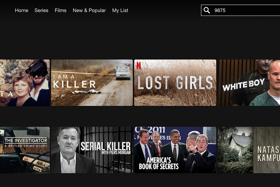Netflix secret genre codes