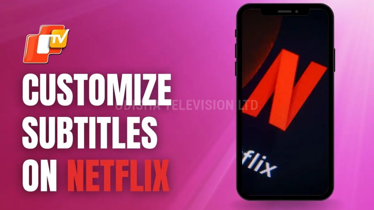 Netflix subtitle customization options