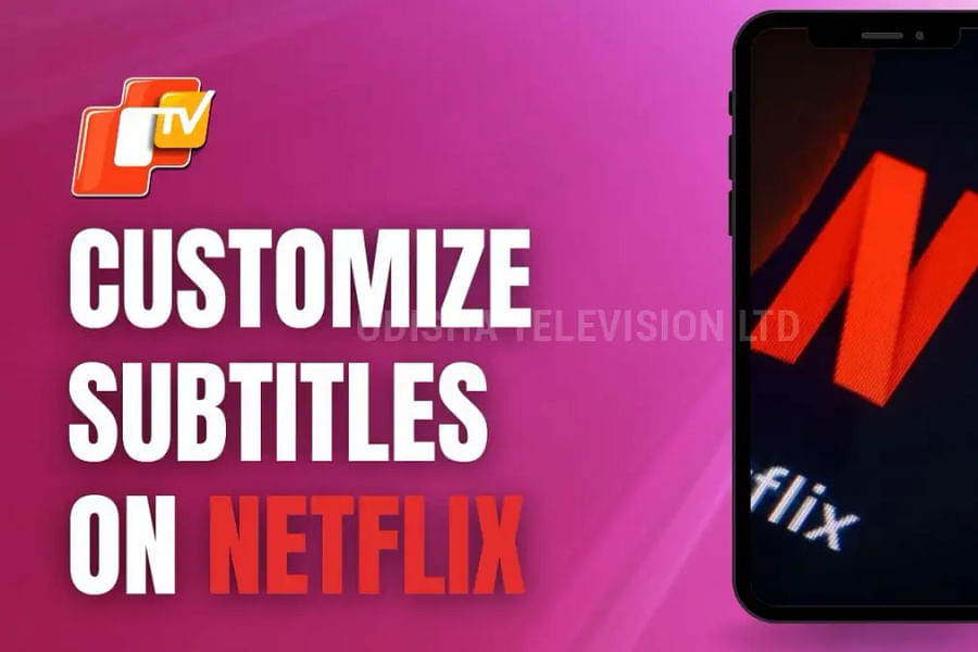 Netflix subtitle customization options
