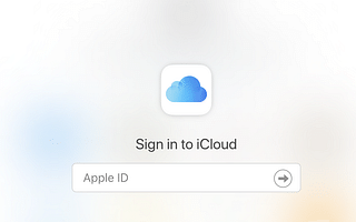 How long does it take to reset an Apple ID password?