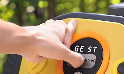 What is the purpose of the 'reset' button on a portable generator?
