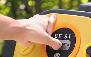 What is the purpose of the 'reset' button on a portable generator?